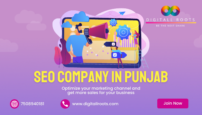 seo company in punjab